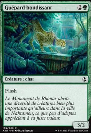 Guépard bondissant