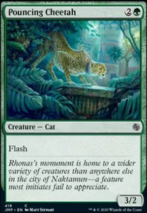 Guépard bondissant