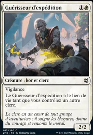 Guérisseur d'expédition