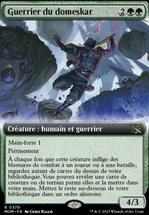 Guerrier du domeskar