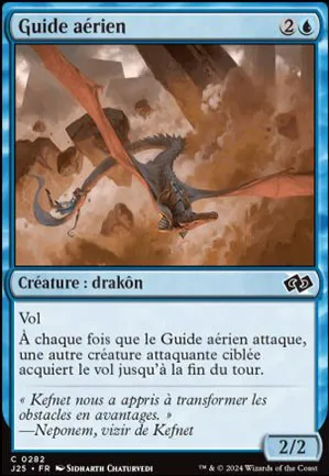 Guide aérien