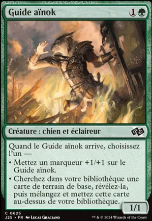 Guide aïnok