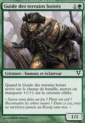 Guide des terrains boisés
