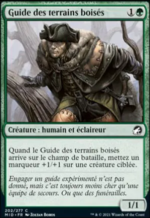 Guide des terrains boisés
