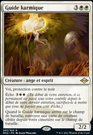 Guide karmique