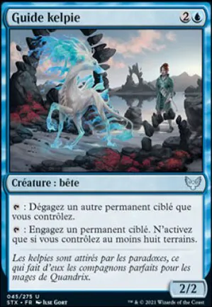 Guide kelpie
