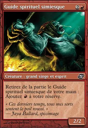 Guide spirituel simiesque