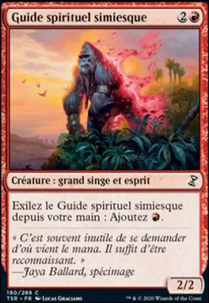 Guide spirituel simiesque