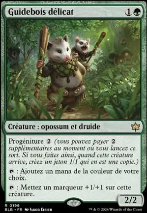 Guidebois délicat