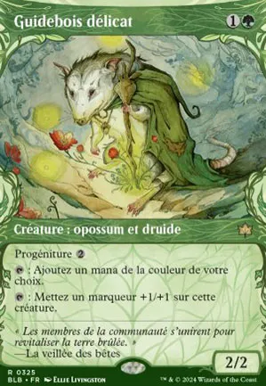 Guidebois délicat