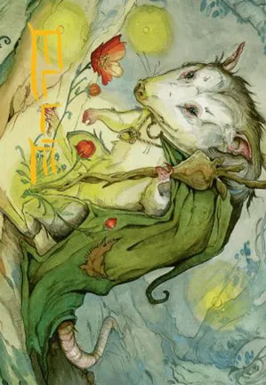 Guidebois délicat - Illustration