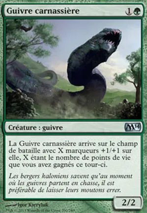 Guivre carnassière