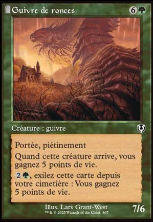 Guivre de ronces