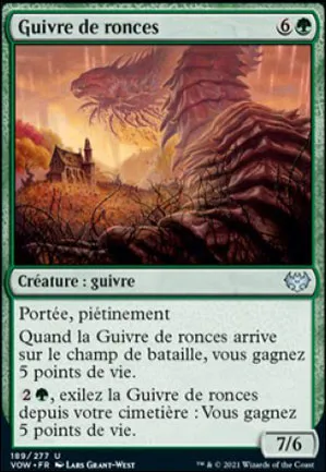 Guivre de ronces