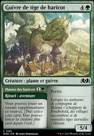 Guivre de tige de haricot // Planter des haricots