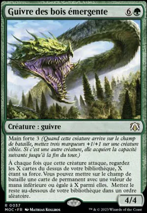 Guivre des bois émergente