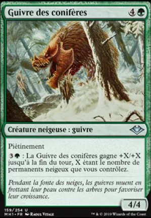 Guivre des conifères