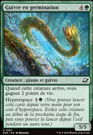 Guivre en germination