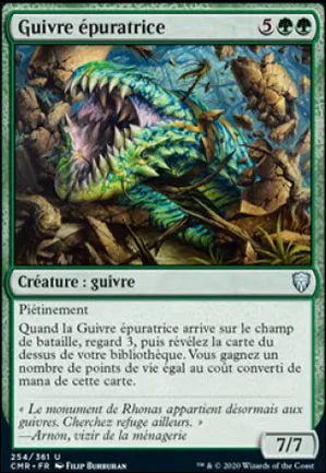 Guivre épuratrice