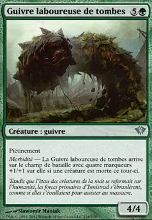 Guivre laboureuse de tombes