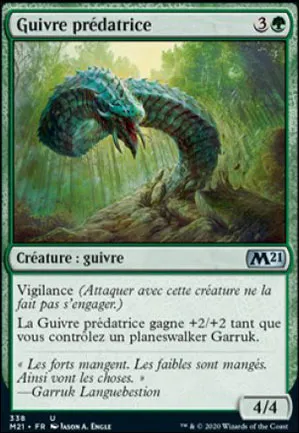 Guivre prédatrice