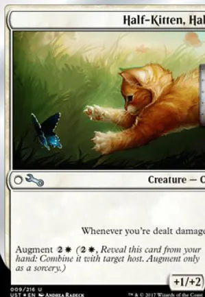 Half-Kitten, Half-