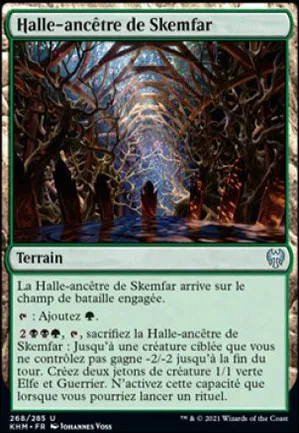 Halle-ancêtre de Skemfar