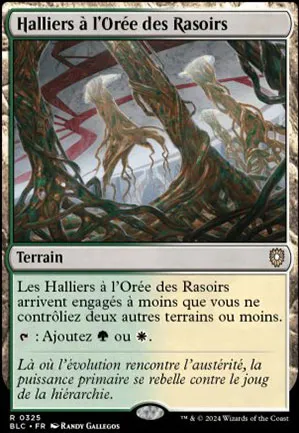Halliers à l'Orée des Rasoirs