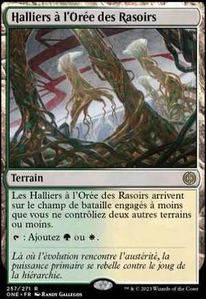 Halliers à l'Orée des Rasoirs