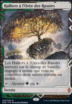Halliers à l'Orée des Rasoirs