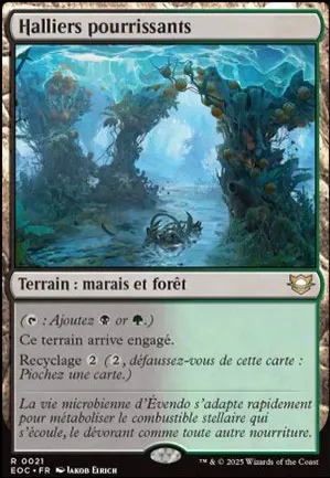 Halliers pourrissants