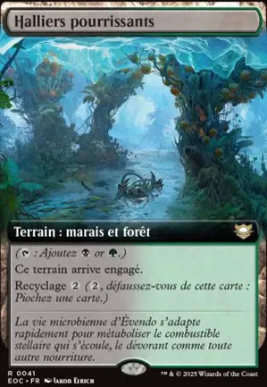 Halliers pourrissants