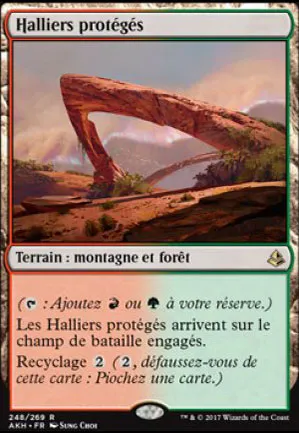 Halliers protégés