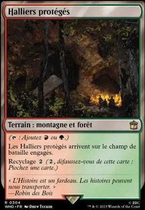 Halliers protégés