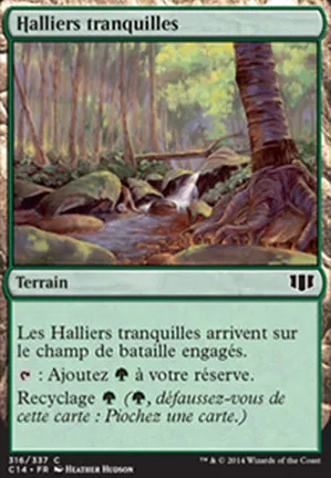 Halliers tranquilles