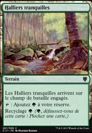 Halliers tranquilles