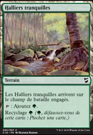 Halliers tranquilles