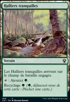 Halliers tranquilles