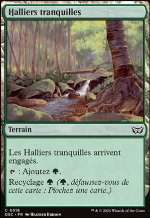 Halliers tranquilles