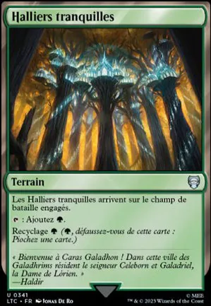 Halliers tranquilles