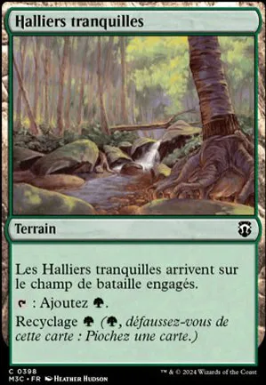 Halliers tranquilles