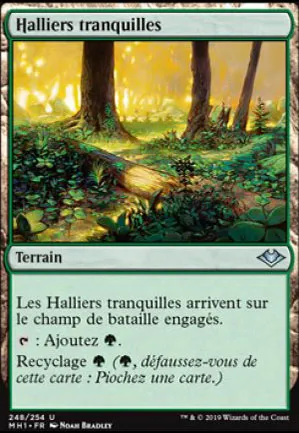 Halliers tranquilles