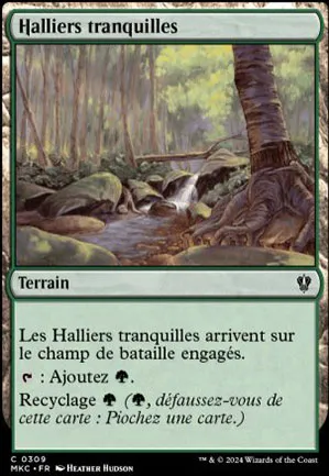Halliers tranquilles