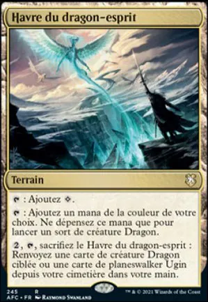 Havre du dragon-esprit