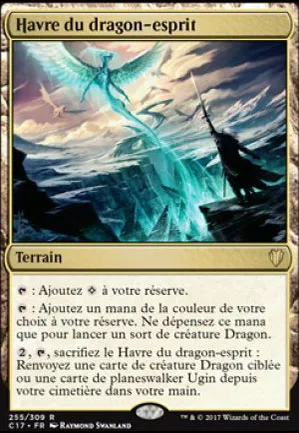 Havre du dragon-esprit