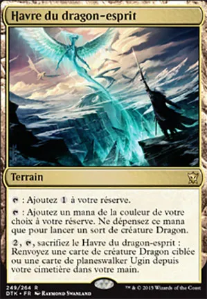 Havre du dragon-esprit