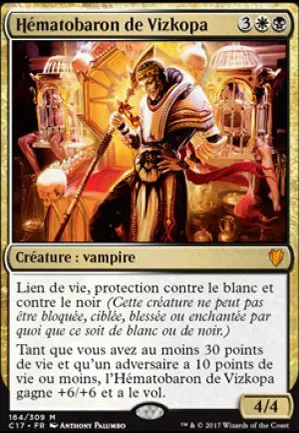 Hématobaron de Vizkopa