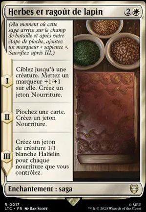 Herbes et ragoût de lapin