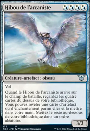 Hibou de l'arcaniste