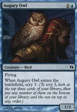 Hibou de l'augure